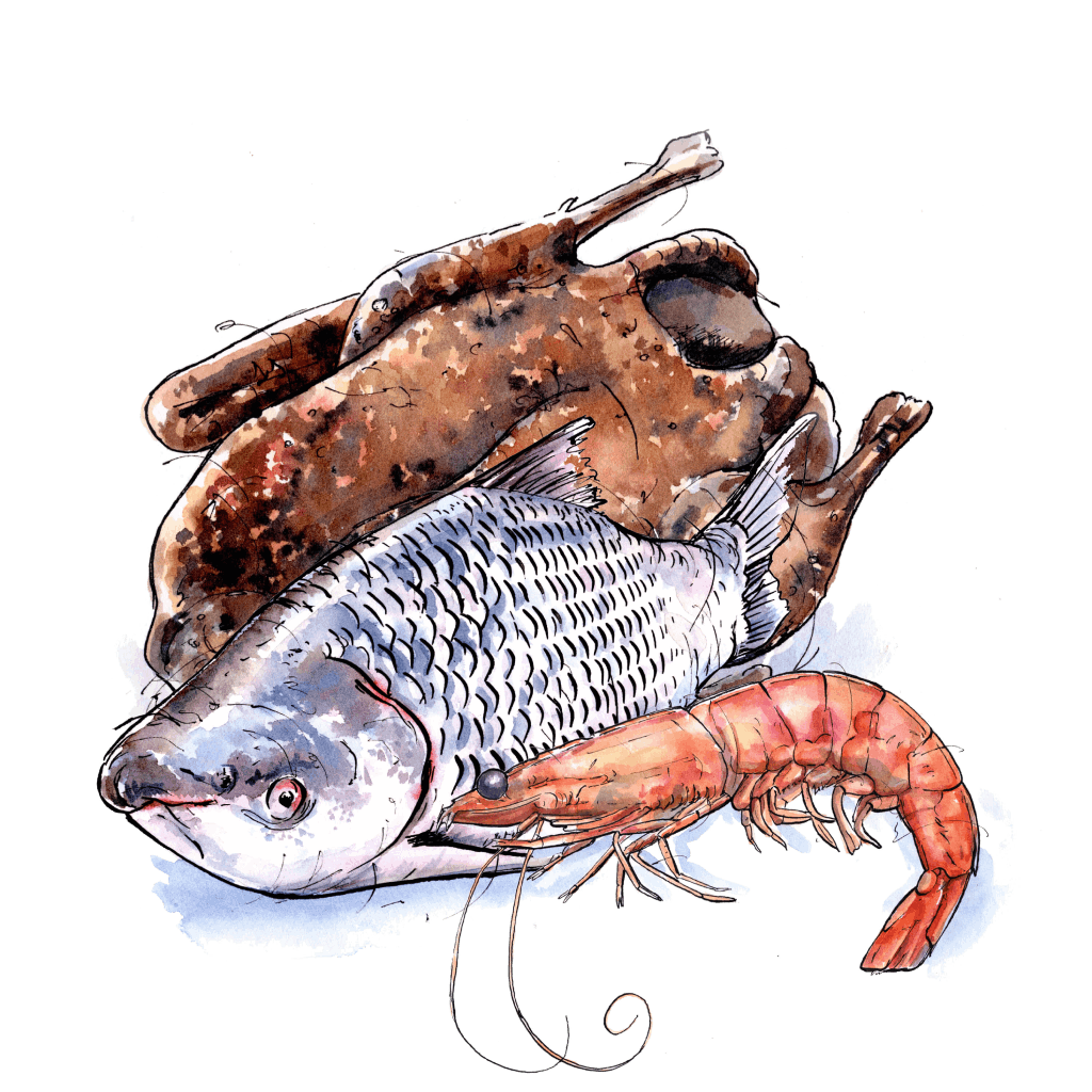 Meat and Fish