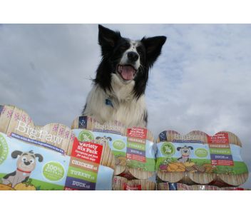 Little BigPaw Variety Tins 6x390g x4 (24 Assorted Flavours)