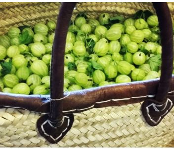 Gooseberry & Elderflower Jam