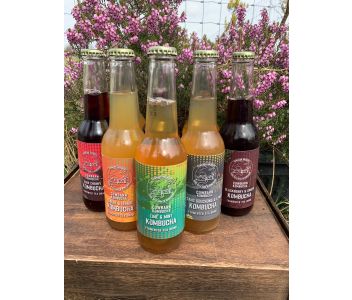 Blackberry & Ginger Kombucha