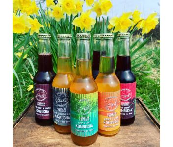 Sour Cherry Kombucha