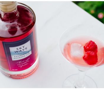 Sky Wave London Dry Gin & Raspberry and Rhubarb Gin Twin Pack
