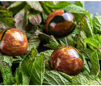 Classic Box of 4 Chocolate Bonbons