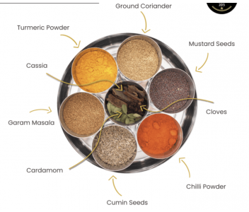 INDIAN SPICE TIN WITH SARI WRAP | 9 SPICES | GIFT OF THE YEAR WINNER