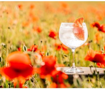 Handcrafted Premium London Dry Gin 70cl 