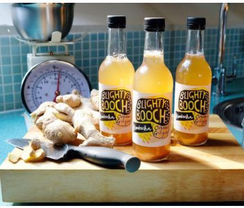 Organic Ginger Kombucha