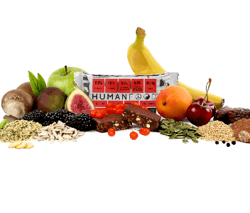 Human Food Organic Wholefood Bars - 10 Bars | Mixed Flavours