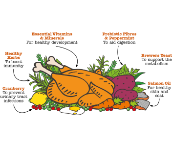 British Chicken Complete Dry Food for Kittens 1.5kg x4