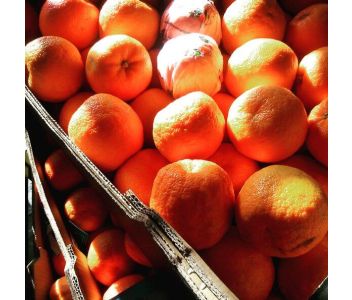 Seville Orange Marmalade