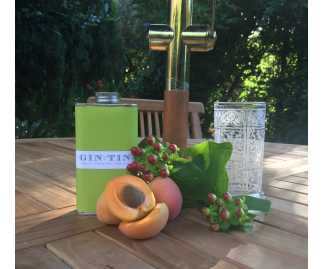 LONDON DRY APRICOT, ELDERFLOWER & ORRIS ROOT GIN IN A TIN-  50CL TIN