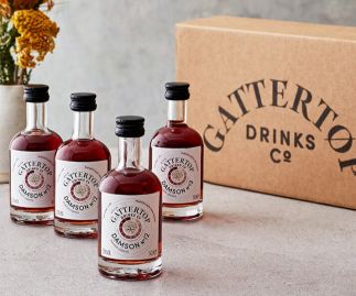 Vodka gift set 4 x 5cl | Damson No12