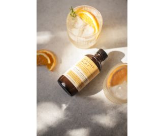 Ginger Switchel non-alcoholic aperitif, 120ml charity bottle