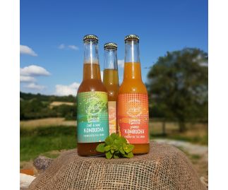 Fruity & Refreshing box of 12