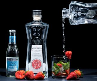 Dragon Slayer Distillery Sir John Lambton Strawberry and Mint Gin 70cl 40%