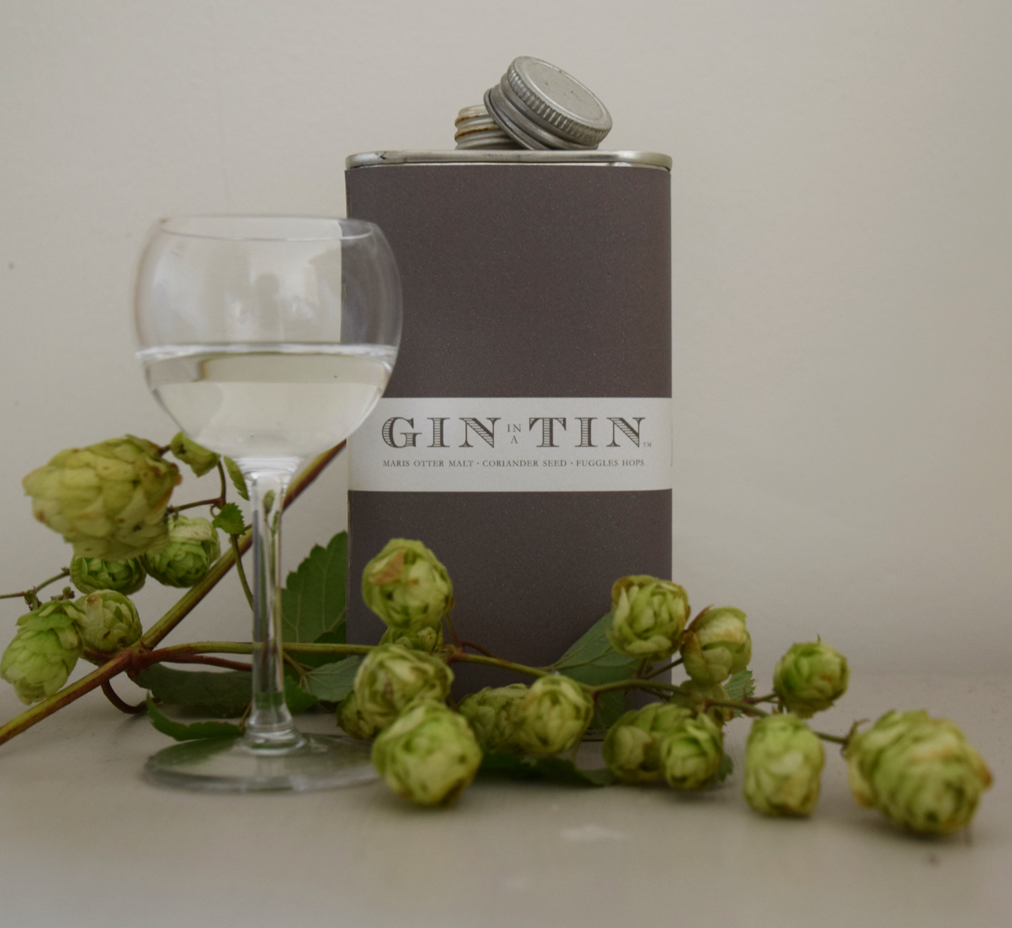 Gin In A Tin