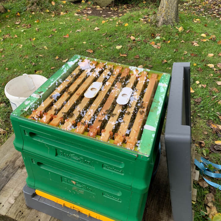 Rookery Farm Honey